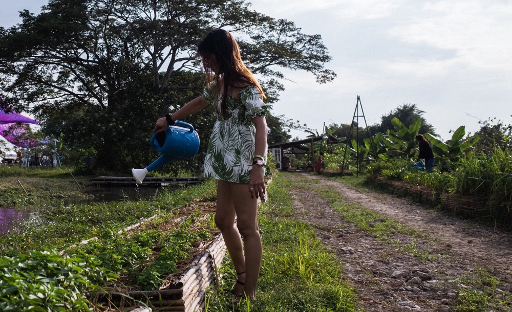 Latest Wonderpost Image