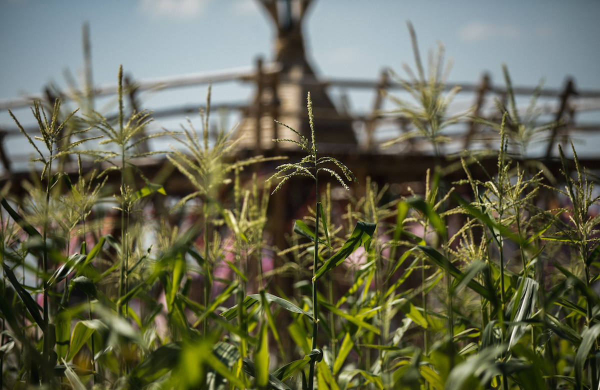 Latest Wonderpost Image