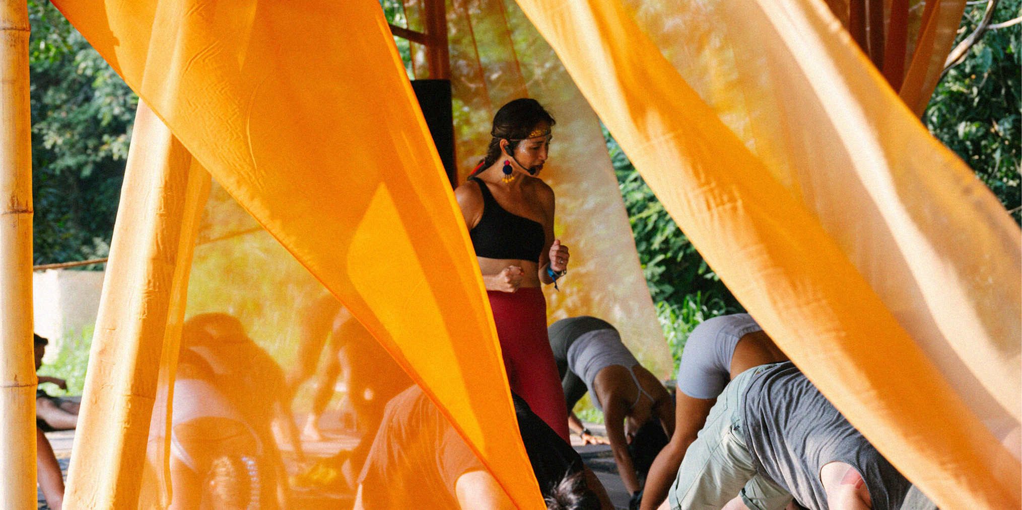 Latest Wonderpost Image