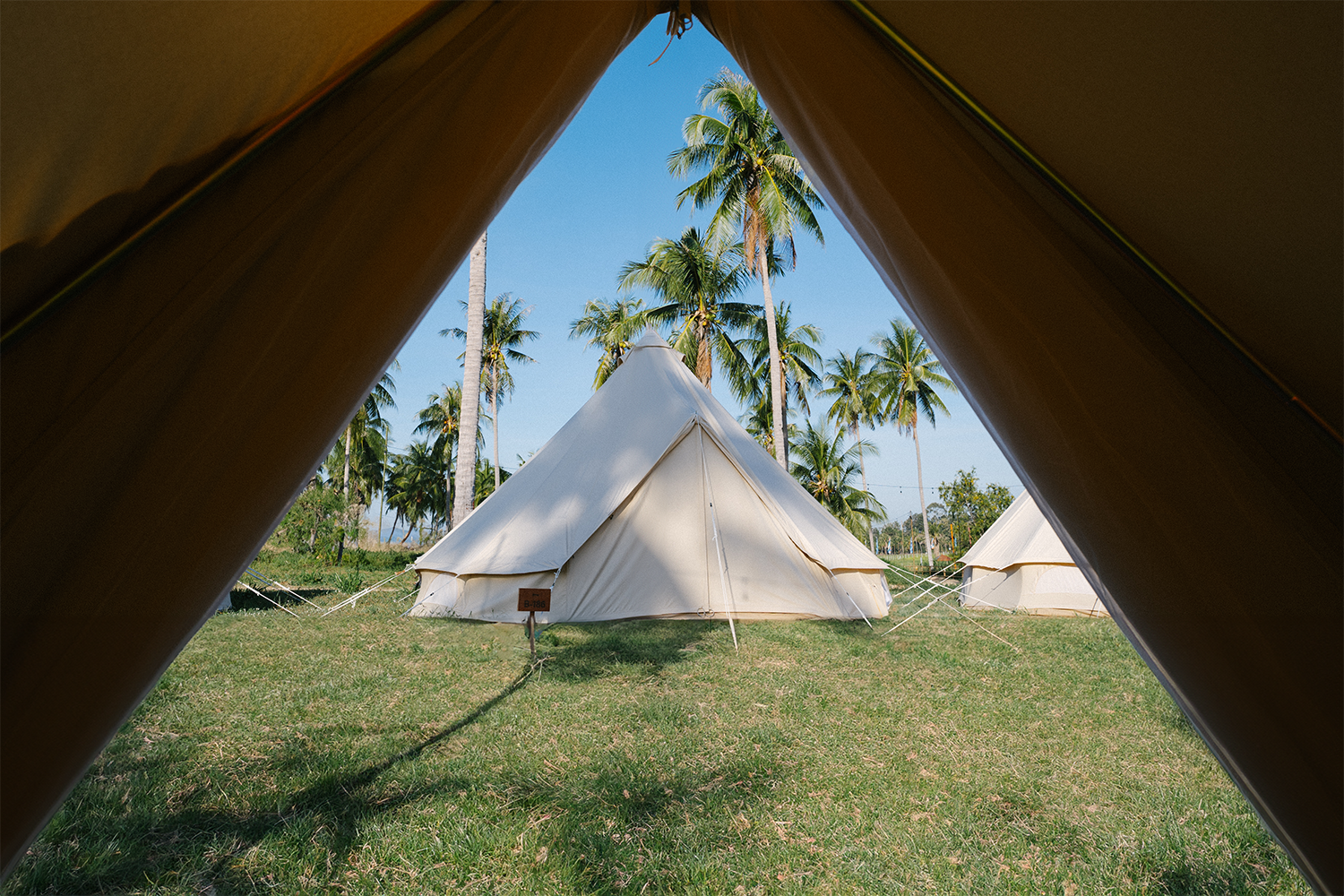 Latest Wonderpost Image